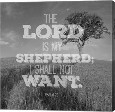 Psalm 23 The Lord is My Shepherd - Field by Inspire Me