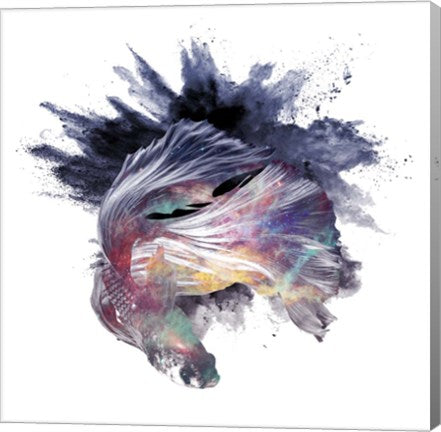 Cosmic Betta by Color Me Happy