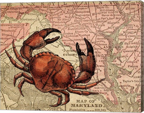Maryland's Jumbo Crabs by Color Me Happy