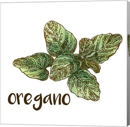 Oregano by Color Me Happy