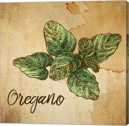 Oregano on Burlap by Color Me Happy