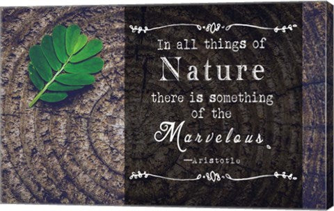 In all things of Nature by Quote Master