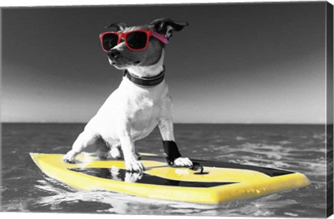 Pop of Color Surf's Up Dog by Color Me Happy