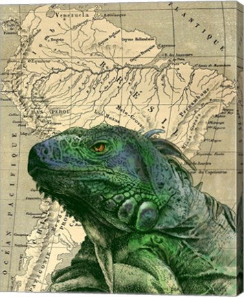 Brazilian Iguana by Take Me Away