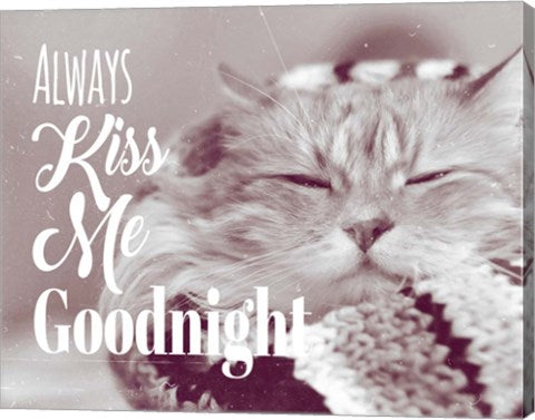 Always Kiss Me Goodnight Sleepy Cat by Quote Master