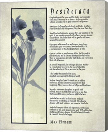 Desiderata Blue Daguerreotype by Quote Master