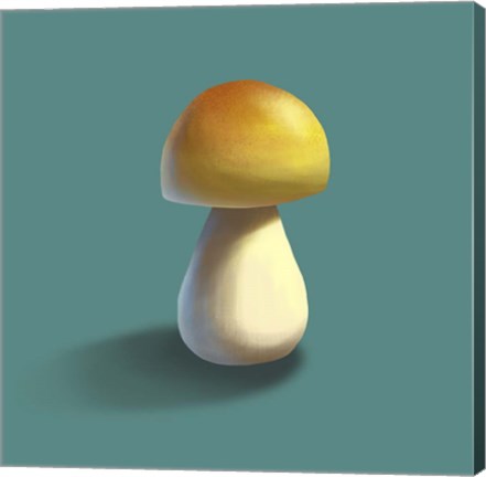 Mushroom on Teal Background Part II by Color Me Happy