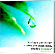 A Single Gentle Rain - Henry Thoreau Quote (Droplet) by Quote Master
