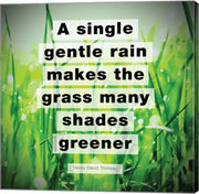 A Single Gentle Rain - Henry Thoreau Quote (Vibrant) by Quote Master