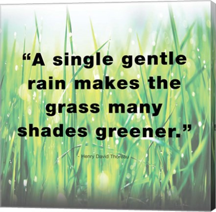 A Single Gentle Rain - Henry Thoreau Quote (Light) by Quote Master