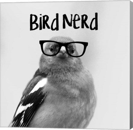 Bird Nerd - Chaffinch by Color Me Happy