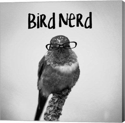 Bird Nerd - Hummingbird by Color Me Happy