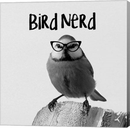 Bird Nerd - Blue Tit by Color Me Happy