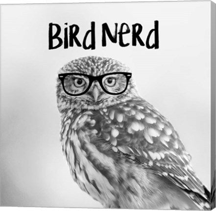 Bird Nerd - Owl by Color Me Happy