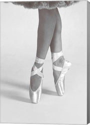 Dancing En Pointe Black and White by Color Me Happy