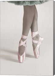 Dancing En Pointe Color by Color Me Happy