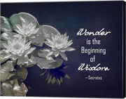 Wonder is the Beginning of Wisdom Water Lily Black and White by Quote Master