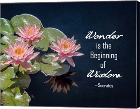 Wonder is the Beginning of Wisdom Water Lily Color by Quote Master