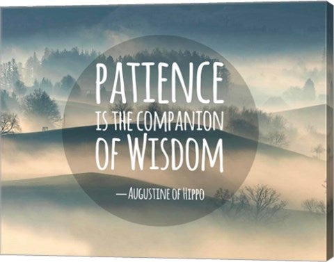 Patience Is The Companion Of Wisdom - Foggy Hills by Quote Master