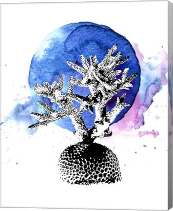 Coral with Blue Splash by Color Me Happy