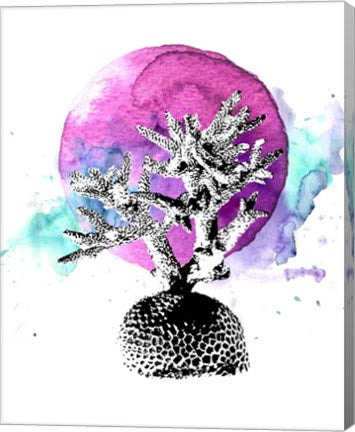 Coral with Pink Splash by Color Me Happy