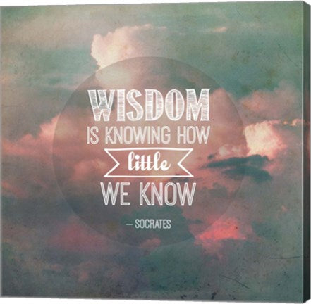 Wisdom is Knowing How Little We Know - Pink Clouds by Quote Master