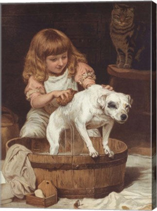Order of the Bath by Charles Burton Barber
