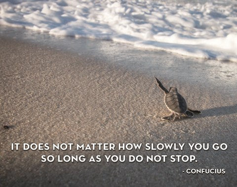 Do Not stop by Color Me Happy