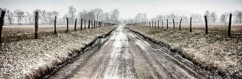 Picket Path by Todd Ridge PRINT ONLY