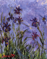 Iris by Claude Monet