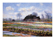 Tulip Fields at Sassenheim by Claude Monet