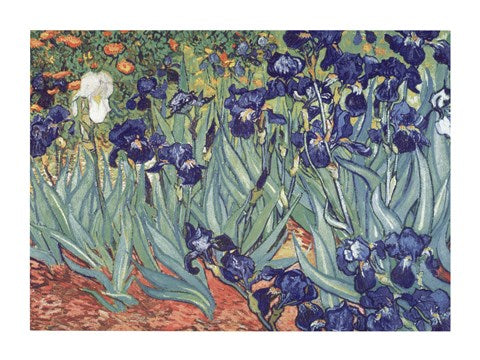 Irises, Saint-Remy, c.1889 by Vincent Van Gogh