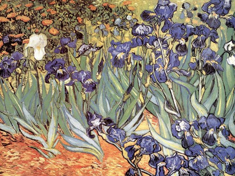 Irises in the Garden, Saint-Remy, c.1889 by Vincent Van Gogh