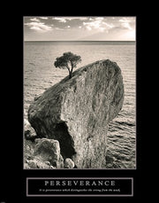 Perseverance - Lone Pinyon Tree