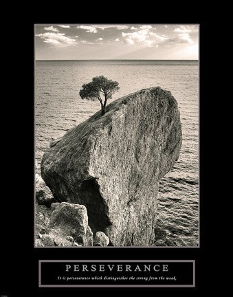 Perseverance - Lone Pinyon Tree