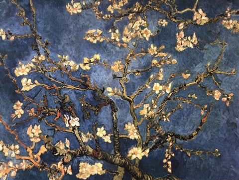 Blossoming Almond Tree, Saint-Remy, c.1890 by Vincent Van Gogh