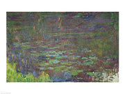 Waterlilies at Sunset, detail from the right hand side, 1915-26 by Claude Monet