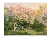 Lilac in the Sun, 1873 by Claude Monet