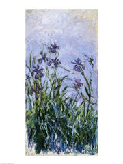 Purple Irises, 1914-17 by Claude Monet