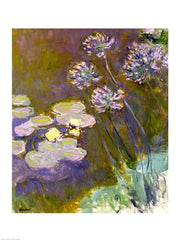 Waterlilies and Agapanthus, 1914-17 by Claude Monet