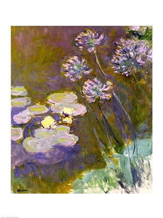 Waterlilies and Agapanthus, 1914-17 by Claude Monet