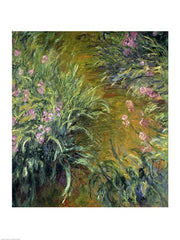 Iris (green) by Claude Monet