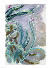 Iris (gray) by Claude Monet