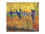 Pollarded Willows and Setting Sun, 1888 by Vincent Van Gogh