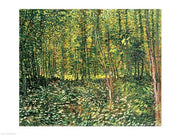 Trees and Undergrowth, 1887 by Vincent Van Gogh
