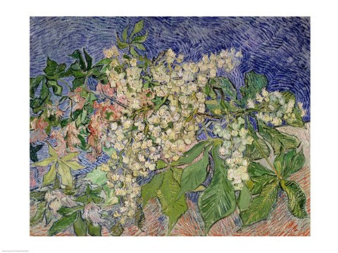 Blossoming Chestnut Branches, 1890 by Vincent Van Gogh