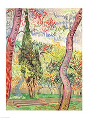 The Garden of St. Paul's Hospital, St. Remy, October 1889 by Vincent Van Gogh