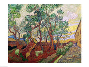 The Garden of St. Paul's Hospital at St. Remy, 1889 by Vincent Van Gogh