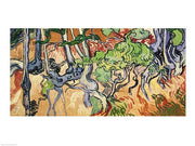 Tree roots, 1890 by Vincent Van Gogh