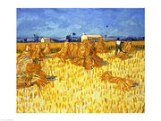 Harvest in Provence by Vincent Van Gogh